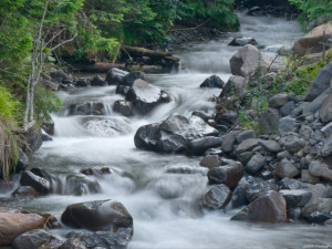 Mountain springs are in constant motion